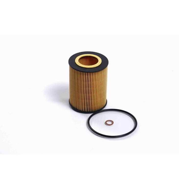 FL0688.JPG Filtro Olio Bmw 3 Coupú (e46) Fl0688 11 42 1 427 908 Cartuccia Filtro Bremsi