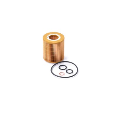 FL0704.JPG Filtro Olio Bmw 3 Touring (e91) Fl0704 11 42 7 501 676 Cartuccia Filtro Bremsi