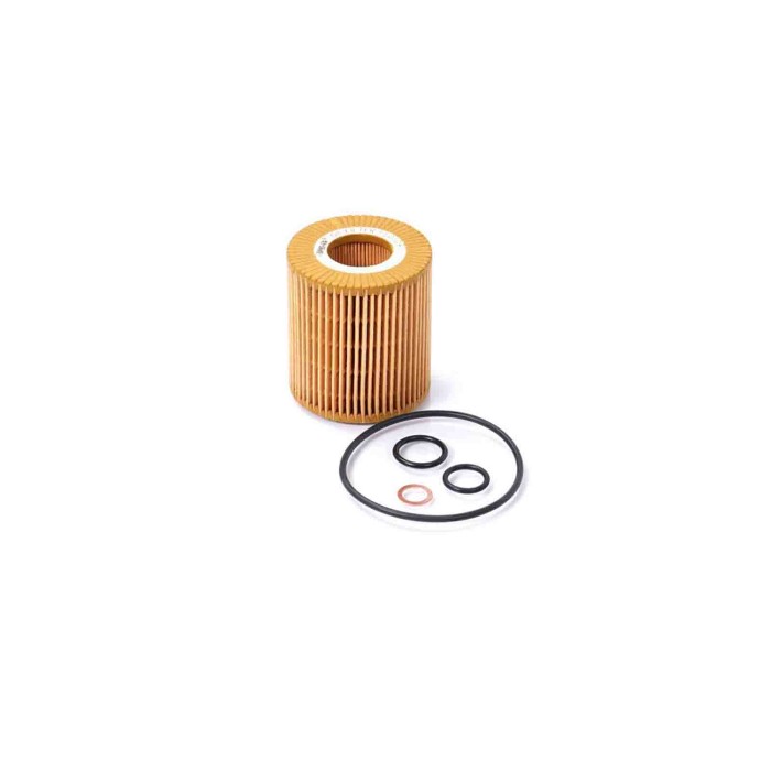 FL0704.JPG Filtro Olio Bmw 3 Touring (e91) Fl0704 11 42 7 501 676 Cartuccia Filtro Bremsi