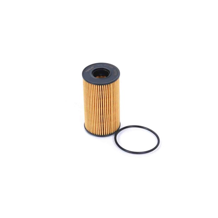 FL0728.JPG Filtro Olio Land Rover Range Rover Evoque (l551) Fl0728 Lr 073669 Bremsi