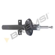 Ammortizzatore Anteriore Ford Orion Iii (gal) Sa0163 1018196 Ammortizzatore Tipo Mcpherson Bremsi