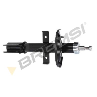 SA0563.JPG Ammortizzatore Anteriore Renault Clio Iii Clio Iii Grandtour Clio Ii Sa0563 543022134r Ammortizzatore Tipo Mcpherson 