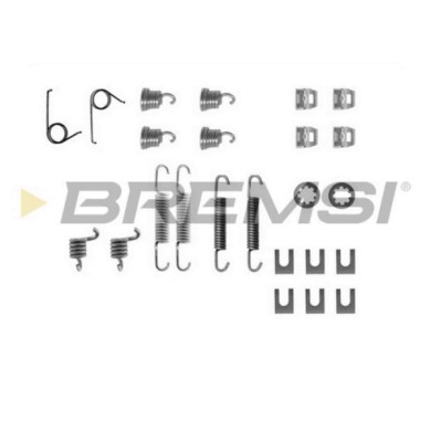 SK0554.JPG Kit Accessori Ganasce Freno Posteriore Renault 4 (112) Sk0554 7700554000 Bremsi