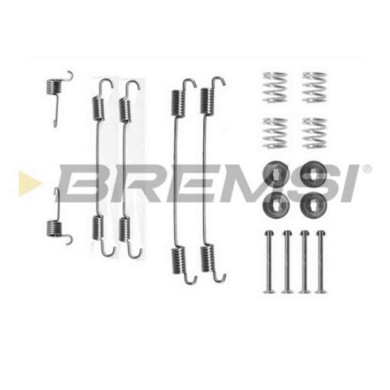 SK0750.JPG Kit Accessori Ganasce Freno Posteriore Renault Kangoo Express (fc0/1) Sk0750 Bremsi