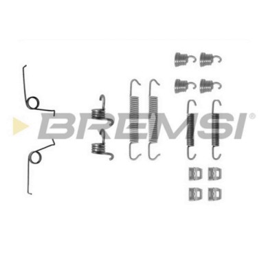 SK0769.JPG Kit Accessori Ganasce Freno Posteriore Nissan Trade Pianale Piatto/telaio Sk0769 41007-69000 Bremsi