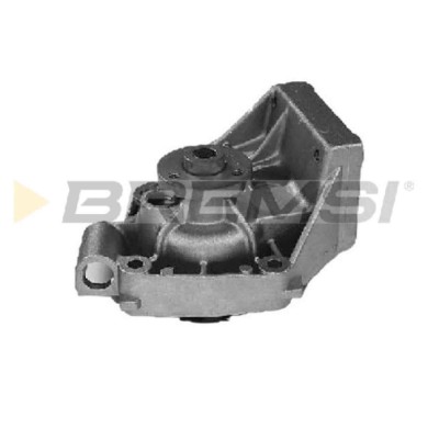 WP0003.JPG Pompa Acqua Fiat Ducato Pianale Piatto/telaio Ducato Furgonato Ducato Panorama Wp0003 17291280 Bremsi