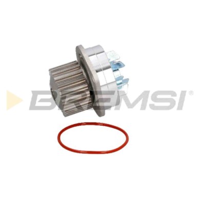WP0004.JPG Pompa Acqua Citroen Bx Break (xb-) Wp0004 120158 Bremsi