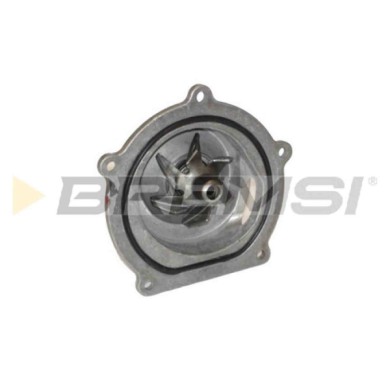 WP0006.JPG Pompa Acqua Honda Accord V (ce Cf Cd) Wp0006 19200-p5t-g00 Bremsi