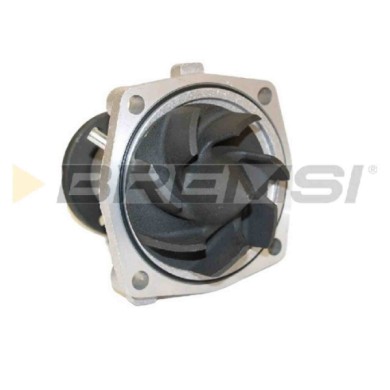 WP0013.JPG Pompa Acqua Chrysler Voyager Ii (es) Wp0013 4864566 Bremsi