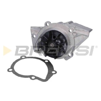 WP0018.JPG Pompa Acqua Peugeot 206 2 Volumi /coda Spiovente (2a/c) Wp0018 1201c4 Bremsi