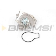 Pompa Acqua Honda Cr-v I Civic Vi Coupú Wp0025 19200-p72-a01 Bremsi