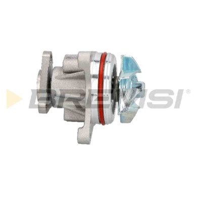 WP0026.JPG Pompa Acqua Jaguar X-type I Station Wagon (x400) Wp0026 2c2s40043 Bremsi