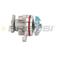 WP0026.JPG Pompa Acqua Jaguar X-type I Station Wagon (x400) Wp0026 2c2s40043 Bremsi