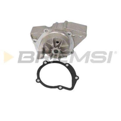 WP0028.JPG Pompa Acqua Citroen Zx (n2) Wp0028 120152 Bremsi