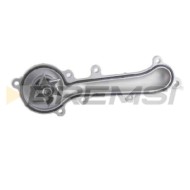 WP0041.JPG Pompa Acqua Smart Fortwo Cabrio Fortwo Coupú Wp0041 1322000201 Bremsi