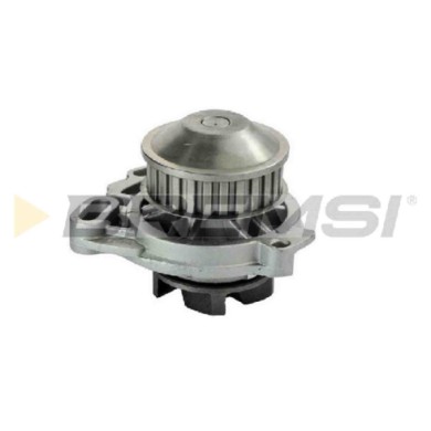 WP0044.JPG Pompa Acqua Audi Coupe B3 (89 8b3) Wp0044 Bremsi