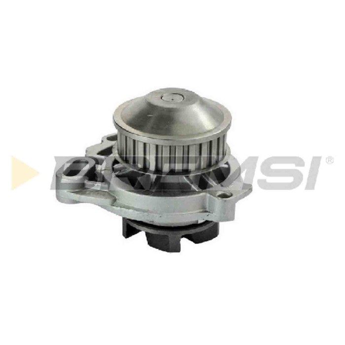 WP0044.JPG Pompa Acqua Audi Coupe B3 (89 8b3) Wp0044 Bremsi