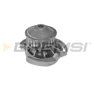 WP0045.JPG Pompa Acqua Volkswagen Derby (86c 80) Wp0045 052 121 004 Bremsi