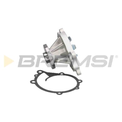 WP0048.JPG Pompa Acqua Nissan Patrol Iii/1 Hardtop (k160) Wp0048 20110p7525 Bremsi