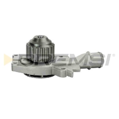 WP0053.JPG Pompa Acqua Ford Fiesta Iii (gfj) Wp0053 1053055 Bremsi