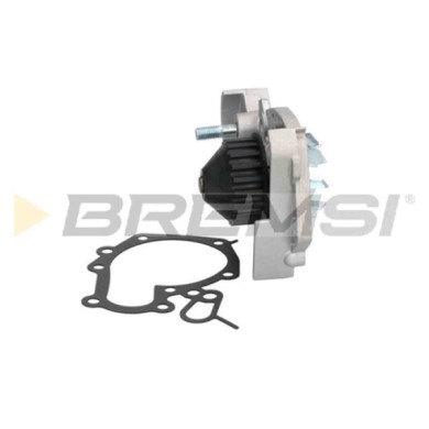 WP0060.JPG Pompa Acqua Renault Clio I 19 I 19 Ii Rapid Cassone/limousine Spaziosa 19 Ii Chamade 19 I Chamade Wp0060 7700736091 B