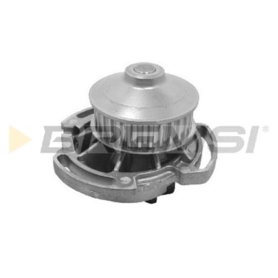 WP0062.JPG Pompa Acqua Volkswagen Polo Classic (86c 80) Wp0062 030 121 004a Bremsi