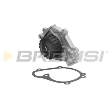 WP0066.JPG Pompa Acqua Nissan Micra I Wp0066 21010-01b25 Bremsi