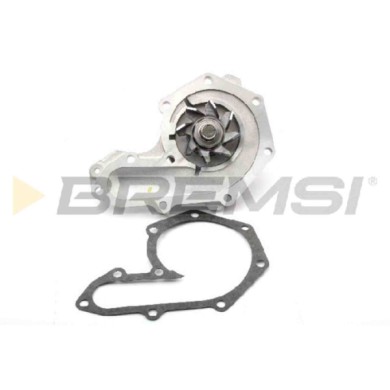 WP0074.JPG Pompa Acqua Renault Trafic Pianale Piatto/telaio (t P V) Wp0074 210107370r Bremsi