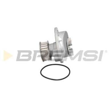 WP0079.JPG Pompa Acqua Opel Vectra B Station Wagon (j96) Wp0079 9199592 Bremsi