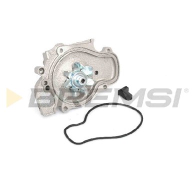 WP0081.JPG Pompa Acqua Rover 600 I (rh) Wp0081 Bremsi