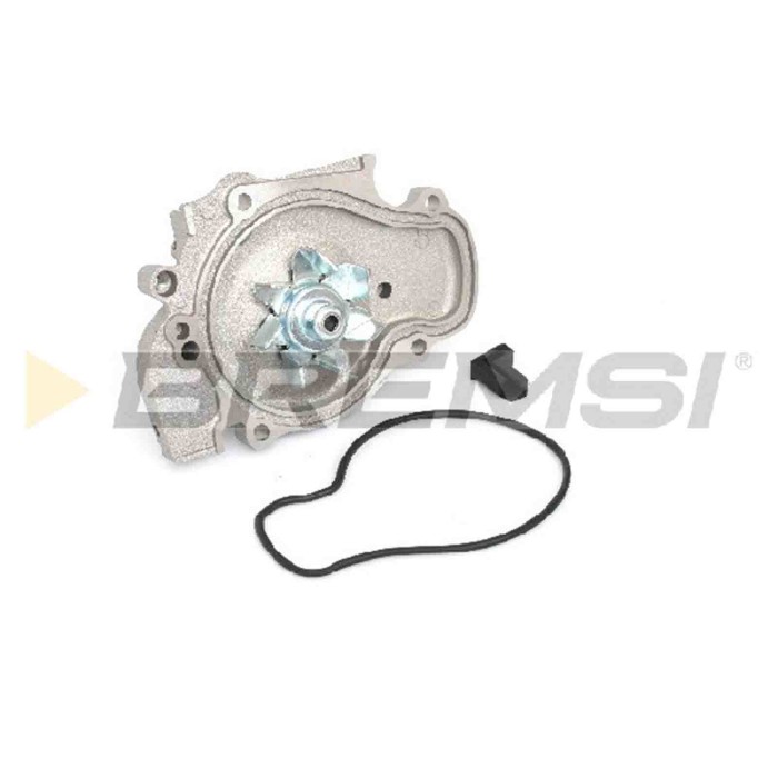 WP0081.JPG Pompa Acqua Rover 600 I (rh) Wp0081 Bremsi