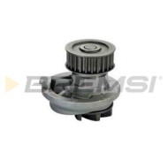 WP0085.JPG Pompa Acqua Opel Vectra A 2 Volumi /coda Spiovente (j89) Wp0085 1334054 Bremsi