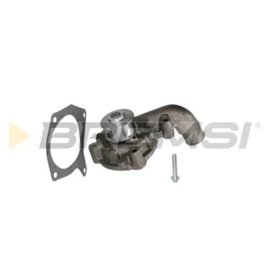 WP0087.JPG Pompa Acqua Ford Escort V Tre Volumi (afl) Wp0087 1031279 Bremsi