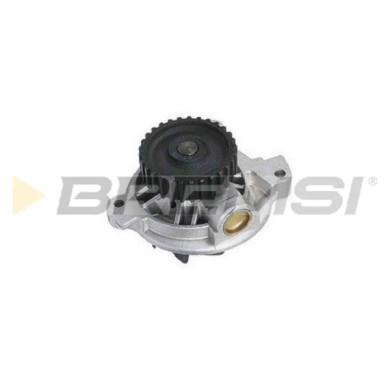WP0088.JPG Pompa Acqua Audi Coupú A6 A6 Avant 80 Avant Cabriolet 100 Avant 80 100 Wp0088 034121004b Bremsi
