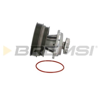 WP0095.JPG Pompa Acqua Fiat Marea Weekend (185) Wp0095 46400058 Bremsi