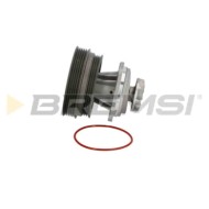 WP0095.JPG Pompa Acqua Fiat Marea Weekend (185) Wp0095 46400058 Bremsi