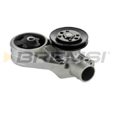 WP0101.JPG Pompa Acqua Skoda Favorit Pick-up Favorit Forman Favorit Wp0101 047 121 011a Bremsi