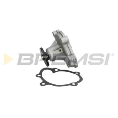 WP0102.JPG Pompa Acqua Opel Astra G Tre Volumi (t98) Wp0102 1334069 Bremsi