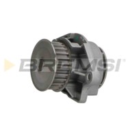 WP0105.JPG Pompa Acqua Volkswagen Polo Iii (6n1) Wp0105 030121005a Bremsi