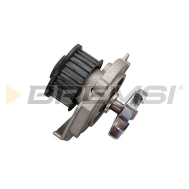 WP0109.JPG Pompa Acqua Fiat Bravo I Brava Punto Cabriolet Punto Marea Weekend Marea Lancia Y Wp0109 46422512 Bremsi