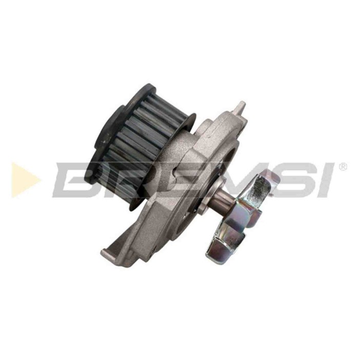 WP0109.JPG Pompa Acqua Fiat Bravo I Brava Punto Cabriolet Punto Marea Weekend Marea Lancia Y Wp0109 46422512 Bremsi