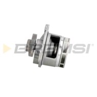 WP0130.JPG Pompa Acqua Opel Astra G Tre Volumi (t98) Wp0130 1334117 Bremsi