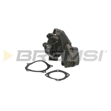 WP0132.JPG Pompa Acqua Fiat Fiorino Cassone/limousine Spaziosa Elba Fiorino Pick-up Innocenti Elba Wp0132 46410562 Bremsi