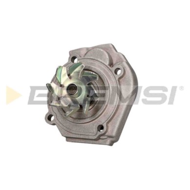 WP0134.JPG Pompa Acqua Fiat Punto (188) Wp0134 46805736 Bremsi