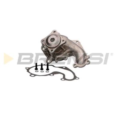 WP0135.JPG Pompa Acqua Ford Focus I Turnier (dnw) Wp0135 1078500 Bremsi