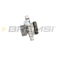 WP0138.JPG Pompa Acqua Audi A6 C4 (4a2) Wp0138 74121004 Bremsi