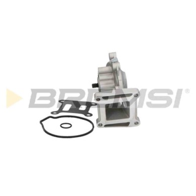 WP0157.JPG Pompa Acqua Jaguar X-type I Station Wagon (x400) Wp0157 C2s40043 Bremsi