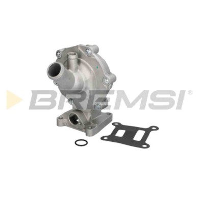 WP0158.JPG Pompa Acqua Jaguar X-type I Station Wagon (x400) Wp0158 C2s40043 Bremsi
