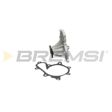 WP0165.JPG Pompa Acqua Nissan X-trail I (t30) Wp0165 21010-ad225 Bremsi