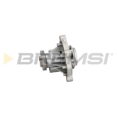 WP0172.JPG Pompa Acqua Skoda Fabia Ii Combi (545) Wp0172 03d121005 Bremsi